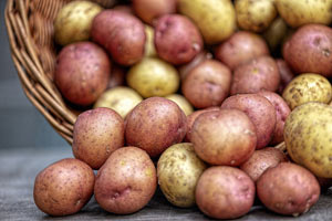 Hay más de 5.000 variedades de patatas en el mundo Hay más de 5.000 variedades de patatas en el mundo