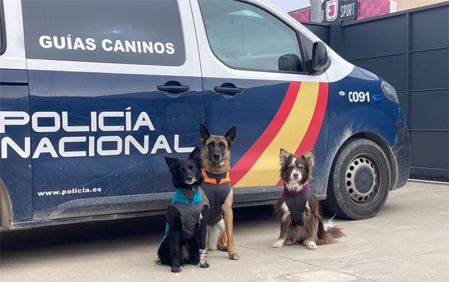 Perros al servicio de la Policía Nacional en España