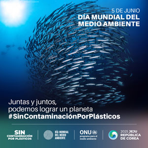 Póster 2025 Póster 2025