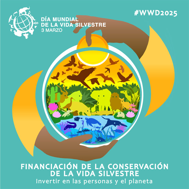 Póster Día Mundial de la Vida Silvestre 2025