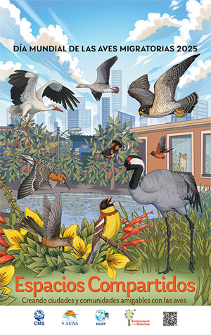 Cartel Día Mundial de las Aves Migratorias 2025 Cartel Día Mundial de las Aves Migratorias 2025