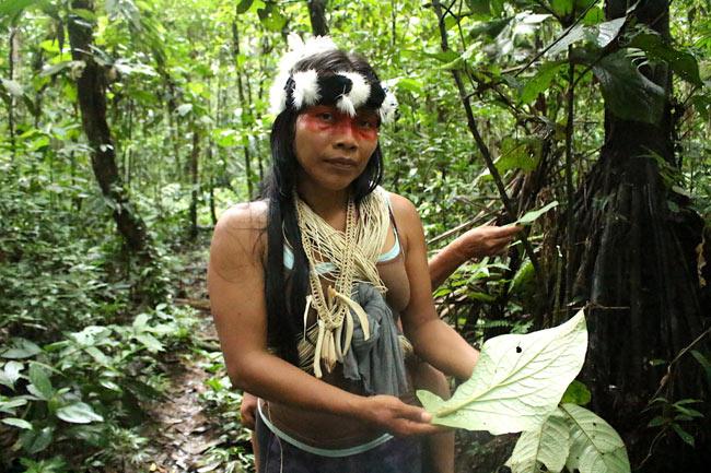 Nemonte, Waorani. Cortesía de Daniela Aguilar